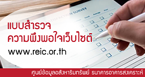 ดูรายละเอียด